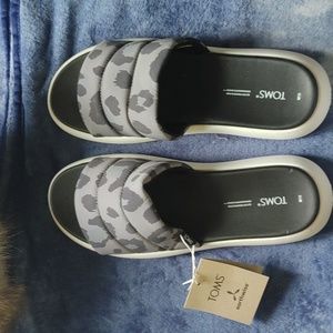 Toms Slides
